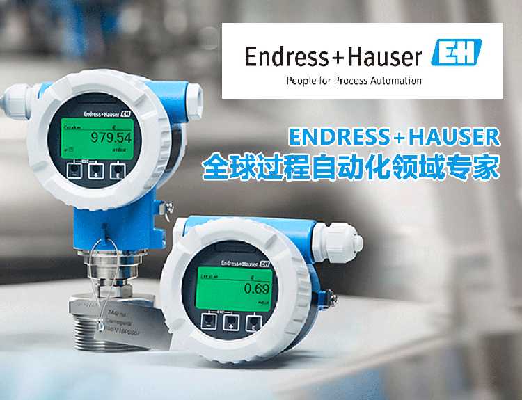 恩德斯·豪斯 | 全球过程自动化领域专家